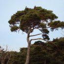 여산천호주유소 이미지