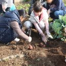 주동초등학교 이미지