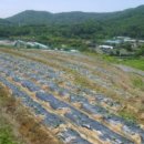 내곡동298 이미지