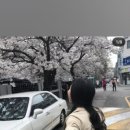 삼호미션 네이버블로그