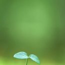 다시,봄 이미지