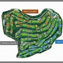 블루원용인CC 이미지