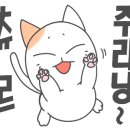 초밥대통령용인