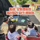 웰리힐리파크 오토캠핑장 | 횡성 오토캠핑장 웰리힐리파크 캠핑장 공기 맑고 별이 많아요