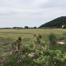 난산리-1 이미지