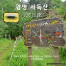 안서초등학교 | 광명 서독산, 짧지만 알찬 원점회귀 코스