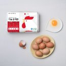가농뷰티 - 부산진구 중앙대로 672 | 가농뷰티