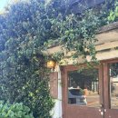 환영키친 앤 게스트하우스 | [제주] 제주 한달살이 기록 : 송당마을(11.10)