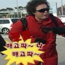 다복상회 네이버블로그