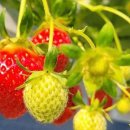 푸른재능어린이집 이미지