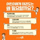 용인대 키즈 태권도 이미지