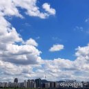 푸른하늘 이미지