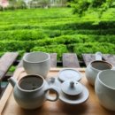 금양민박 이미지