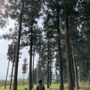 제주 힐링하우스 이미지