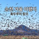 순천만 갈대숲 호스텔 | 국내 겨울여행 가 볼 만한 곳 순천만습지 흑두루미 탐조