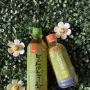 지에스25보성녹차점 | 🍃 [편의점 리뷰] 동원 보성 녹차 vs 보성 말차 비교 : 깔끔한 녹차, 진한 말차