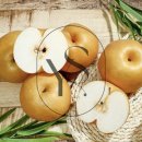 영스토어 이미지