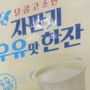담터 자판기우유한잔 후기 (칼로리, 영양정보, 칼슘포함)