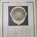 NR-1[경수대로]-하-19 | 9개월 아기 포포, 오쏘 코리아 두상 헬멧 3개월 반 착용 후기 (사두/단두 병원 투어 &amp; STARband 선택 이유)