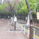 덕수궁길 이미지