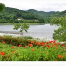 요산공원 이미지