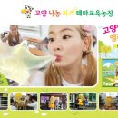 고양낙농체험장 이미지