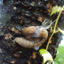 동백유치원 이미지