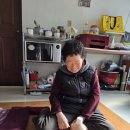 태형건업 이미지