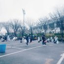 고양시 JTBC 하프마라톤대회 봉사 후기
