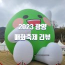 섬진소프트 | 2023 광양 매화축제 다녀 온 후기 (먹거리, 주차장, 포토스팟, 매실아이스크림 등)