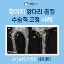 성복동물병원 이미지