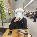 A1110 | 여행] 인천국제공항 제2여객터미널 SKT유심교체/장기주차장 예약/보조배터리 규정/ 마티나라운지 이용 후기