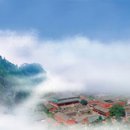 참신선
