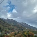 여주-1029 네이버블로그