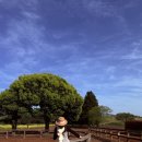 우영목장 이미지