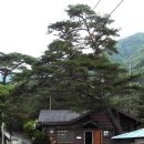 약수터가든민박 이미지