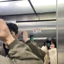 슈가n샐 이미지