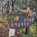 전재울근린공원 유아숲체험원 이미지