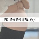 임신 중기 증상 총정리 (5) - 임신성당뇨 임당 정보 정리