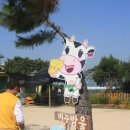 치즈체험장 이미지