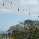 부곡원조 메기탕 이미지