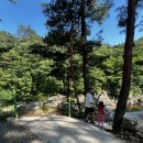 법수치오토캠핑장 | 양양 법수치오토캠핑장 눈치게임성공! D사이트 완전넓음! 전세캠, 전세계곡 (06/14~15)