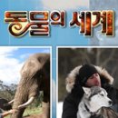 정재원농장 이미지