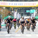 스타교육개발주 이미지