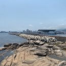 만타스시 이미지