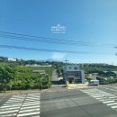 서호동-66 이미지