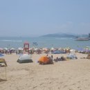 남일대해수욕장 이미지