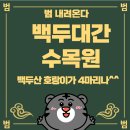 [특별]봉화 국립백두대간수목원(호랑이숲)/ 영주 무섬마을 이미지