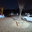 딱조은 | 가족 캠핑으로 딱 좋았던 경주캠핑장 조은캠핑 후기