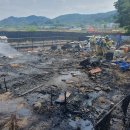 불은농장 이미지